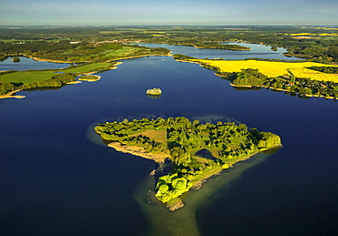 Krakower Seenlandschaft with Liepse Island, lakeland nature reserve, Kuchelmiss, Mecklenburg Lake District, Mecklenburg-Western Pomerania, Germany, Europe