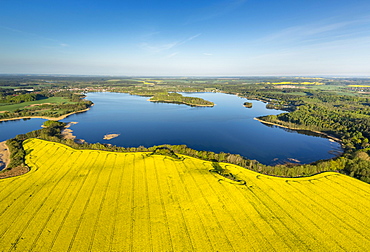 Krakower Seenlandschaft, lakeland nature reserve, with rape fields in full bloom, Kuchelmiss, Mecklenburg Lake District, Mecklenburg-Western Pomerania, Germany, Europe