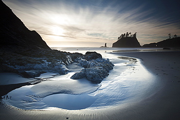 Sea stack on Second Beach in Olympic National Park, Washington, United States, North America