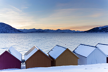 Colored wooden huts on the Nordfjord, Kvaloya, Troms, Norway, Europe