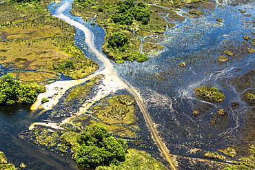 Okavango Delta, aerial view, Okavango Delta, Botswana, Africa