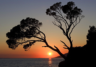 Sunset on the coast, Brela, Dalmatia, Croatia, Europe