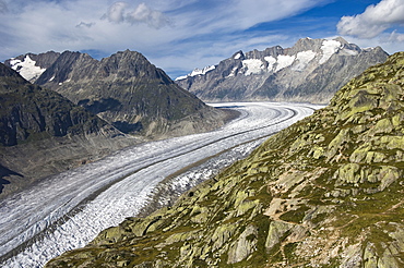 Aletsch Glacier, Southern Bernese Alps, Canton of Valais, Switzerland, Europe