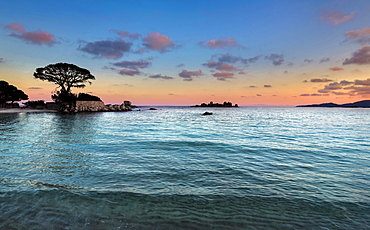 Evening mood, beach of Palombaggia, Porto Vecchio, Corse-du-Sud, Corsica, France, Europe