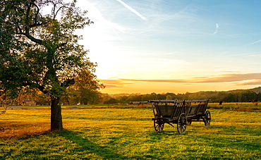 Hay wagon on the field at sunset, flatness, Saxon Switzerland, Saxony, Germany, Europe