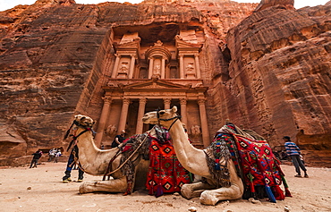 Dromedaries in front of the Pharaoh's treasure house carved out of rock, facade of the Al-Khazneh treasure house, Khazne Faraun, mausoleum in the Nabataean city of Petra, near Wadi Musa, Jordan, Asia