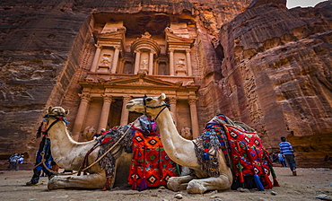 Dromedaries in front of the Pharaoh's treasure house carved out of rock, facade of the Al-Khazneh treasure house, Khazne Faraun, mausoleum in the Nabataean city of Petra, near Wadi Musa, Jordan, Asia