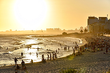 Many people bathing on the beach at sunset, beach Rambla, Montevideo, Uruguay, South America