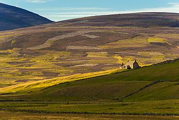 Landscape with old ruins from the time of the Highland Clearances, Highlands, Scotland, Great Britain