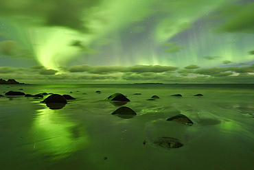 Northern Lights, Aurora Borealis above the beach of Utakleiv, Lofoten, Norway, Europe