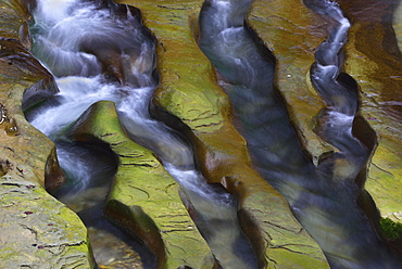 Rock gullies formed by water in the riverbed, mountain stream Schwarzwasser near Wislisau, Canton Bern, Switzerland, Europe