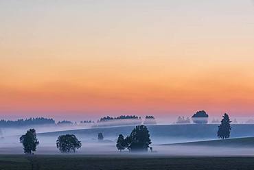 Sunrise with ground fog over Allgaeu hills, Fuessen, Allgaeu, Bavaria, Germany, Europe