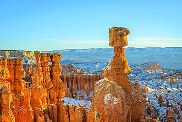 Rock formation Thors Hammer, morning light, bizarre snowy rock landscape with Hoodoos in winter, Navajo Loop Trail, Bryce Canyon National Park, Utah, USA, North America