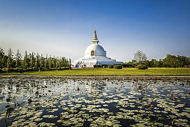 Japanese Peace Pagoda, one of the many international Buddhist temples surrounding the birthplace of Buddha Siddhartha Gautama, Lumbini, Rupandehi, Nepal, Asia