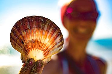 Woman holding a fan shell, sunlight shining through the shell, Portbail, Normandy, France, Europe