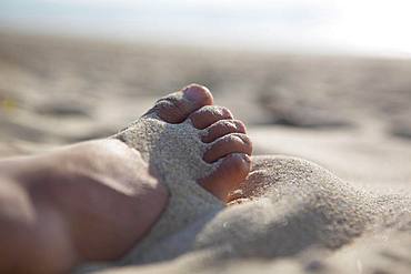 Foot in the sand on the sandy beach, Gurp Plage, Grayan-et-l`Hopital, Aquitaine, Gironde, France, Europe