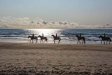 Group of riders on horses backlit on the beach, Gurp Plage, Grayan-et-l`Hopital, Aquitaine, Gironde, France, Europe