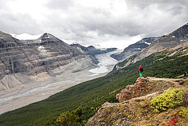 Hiker standing on a rock, view in valley with glacier tongue, Parker Ridge, Saskatchewan Glacier, Athabasca Glacier, Jasper National Park National Park, Canadian Rocky Mountains, Alberta, Canada, North America