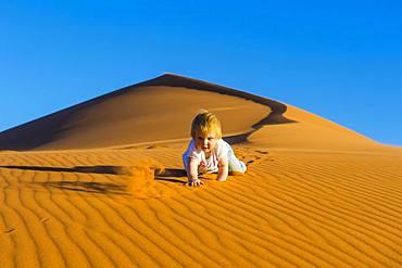 Baby crawling down in the sand, sanddune Dune 45, Namib-Naukluft National Park, Namibia, Africa