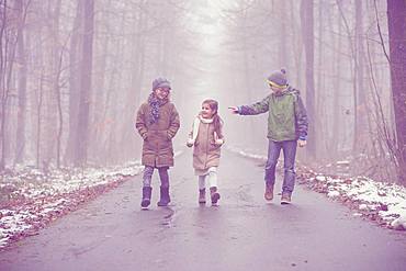 Three children, siblings walking in the woods in fog, winter weather, Baden Wuerttemberg, Germany, Europe