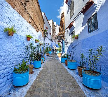 Narrow alley with flower pots, blue houses, medina of Chefchaouen, Chaouen, Tanger-Tetouan, Morocco, Africa