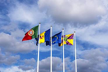 Flags of Portugal, Madeira and Funchal blowing in the wind, Island Madeira, Portugal, Europe