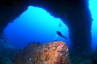 Diver looks at reef formation known as sarcophagus in archway from south plateau of Elphinstone Reef, Red Sea, Egypt, Africa