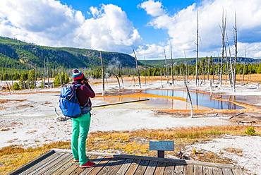 Young woman photographed, dead trees at Opalescent Pool with mineral deposits, Black Sand Basin, Yellowstone National Park, Wyoming, USA, North America