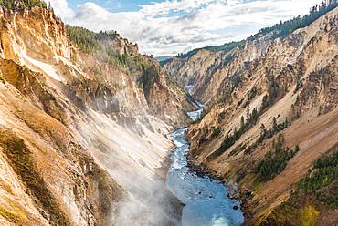 Yellowstone River flows through Gorge, Grand Canyon of the Yellowstone, View from North Rim, Brink of the Lower Falls, Yellowstone National Park, Wyoming, USA, North America