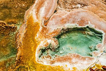 Detail photo, hot spring with orange mineral deposits and algae, Palette Springs, Upper Terraces, Mammoth Hot Springs, Yellowstone National Park, Wyoming, USA, North America