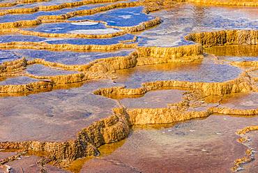 Sinter terraces, hot springs, orange mineral deposits, Palette Springs, Upper Terraces, Mammoth Hot Springs, Yellowstone National Park, Wyoming, USA, North America