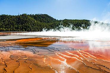 Wave structure, coloured mineral deposits at the edge of the hot steaming spring, Grand Prismatic Spring, Midway Geyser Basin, Yellowstone National Park, Wyoming, USA, North America