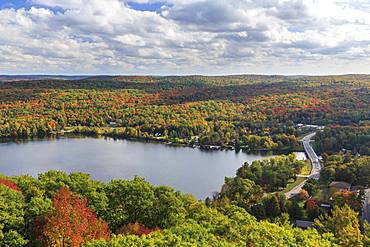 Autumn forest at Lake of Bays, Dorset, Ontario, Canada, North America