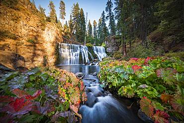 Middle Falls, Fall Waterfall, McCloud River, Siskiyou County, California, USA, North America