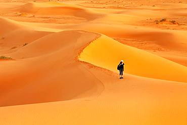 Female hiker in the desert Erg Chebbi at sunset, sand dunes, southern Morocco, Morocco, Africa