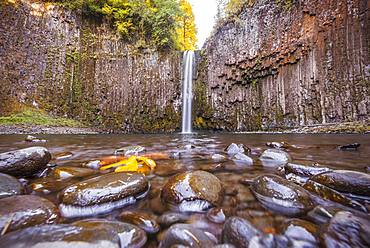 Waterfall, Abiqua Falls, Oregon, USA, North America