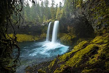 Waterfall in dense vegetation, Koosah Falls, Oregon, USA, North America