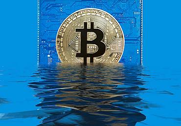 Bitcoin on a blue circuit board sinks into water, water reflection, symbol share price decline, Germany, Europe