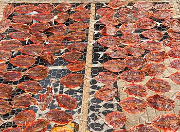 Halved raw fish dries in the sun on a grid, Bangkok, Thailand, Asia