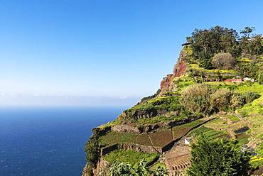 Viewing platform at the steep coast, Cabo Girao, south coast, Madeira, Portugal, Europe