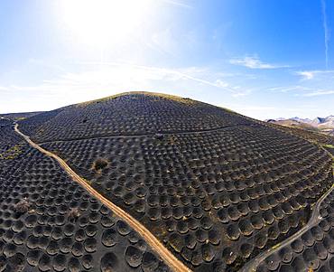 Mount Tinasoria, wine-growing area La Geria, near Yaiza, drone shot, Lanzarote, Canary Islands, Spain, Europe