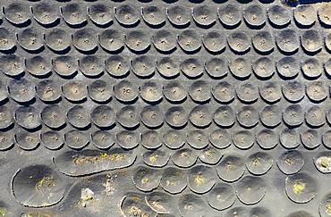 Vines in funnel, wine-growing area La Geria, near Yaiza, drone shot, Lanzarote, Canary Islands, Spain, Europe