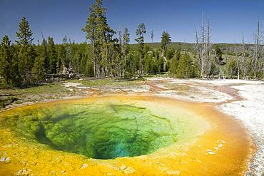 Morning Glory Pool, Yellowstone National Park, Wyoming, USA, North America