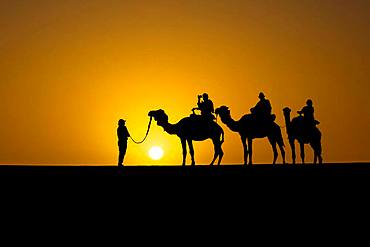 Silhouette of tourists on dromedaries at sunset in the desert south of Quarzazate, Morocco, Africa