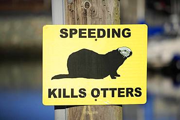 Traffic sign Caution Sea Otter, Speed Limit, Elkhorn Slough, California, USA, North America