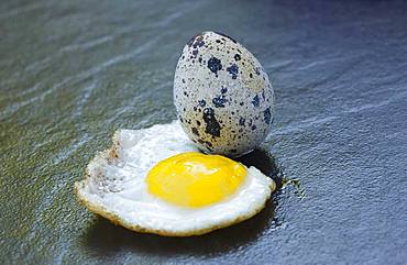 Quail egg and fried egg, Germany, Europe