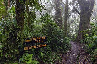 Sign on Encantado Trail, dense vegetation in cloud forest, Reserva Bosque Nuboso Santa Elena, Guanacaste Province, Costa Rica, Central America