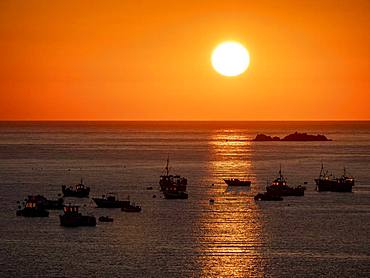 Fishing boats at sunset, Channel Island Guernsey, English Channel, Great Britain