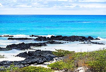 Lava rocks on the coast, Isabela Island, Galapagos Islands, Ecuador, South America