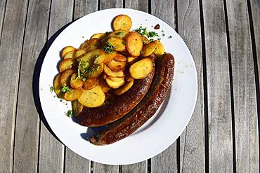 Pfaelzer Bratwuerste with fried potatoes, German Wine Route, Rhineland-Palatinate, Germany, Europe